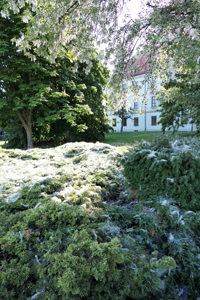 Breslau (21).jpg